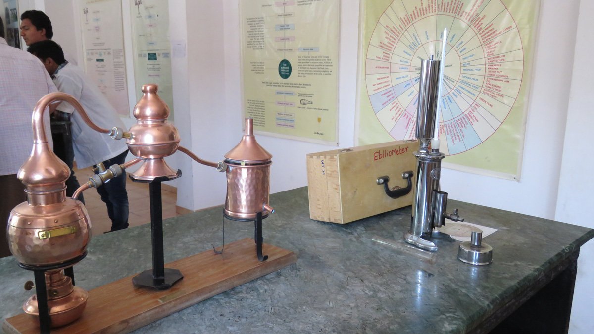Brewing Process